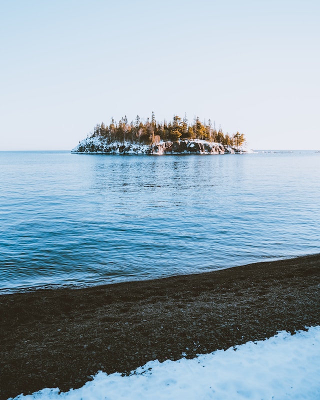 How to become a pro web designer in 2022 and get remot job?